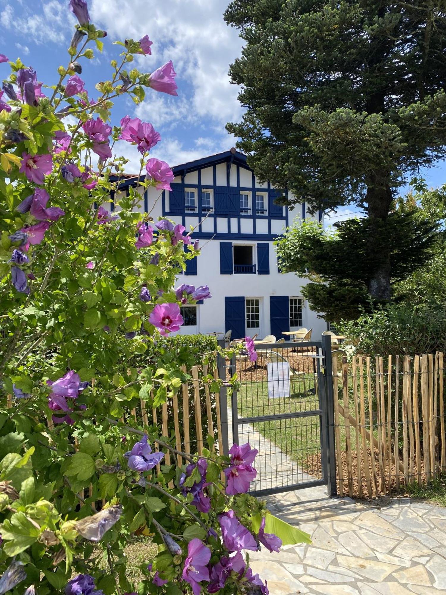 Kaliko Hotel Бидар Стая снимка